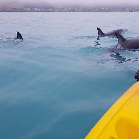 K'Orca Cottage By The Sea Кайкоура Экстерьер фото